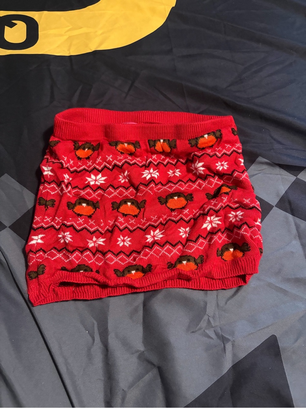 Kids Red Festive Knit Skirt with Robin Pattern
